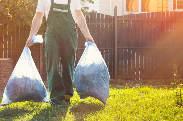 Best Office Cleanout  in Pelican Rapids, MN